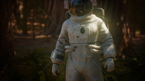 黑暗森林里孤独的宇航员图片