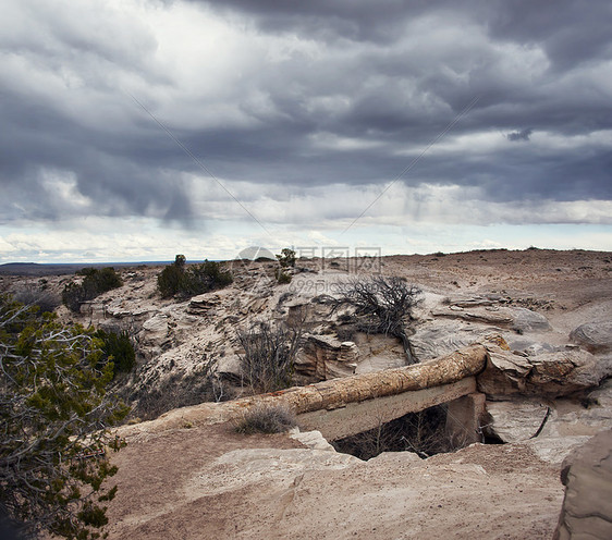 玛瑙桥石化森林公园,亚利桑那州,美国图片