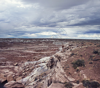 石化森林公园,亚利桑那州,美国图片