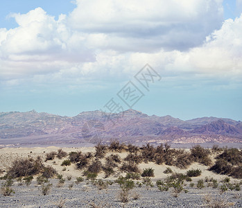 美国加利福尼亚州死亡谷公园的梅斯奎特沙丘图片