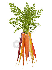 堆五颜六色的彩虹胡萝卜孤立白色的背景上图片