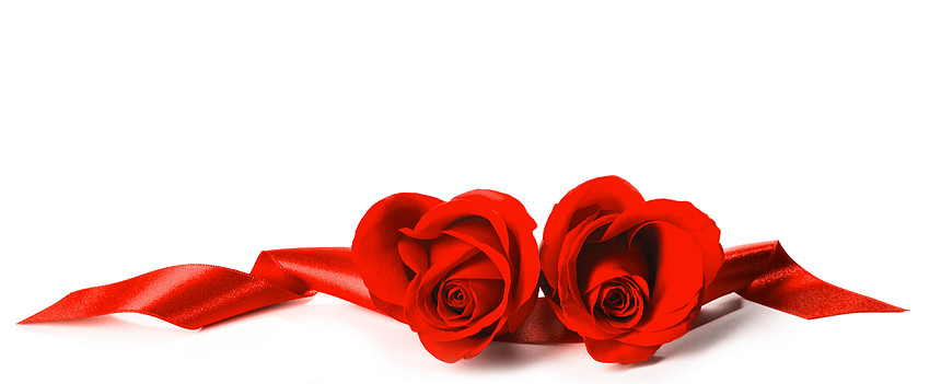 两朵美丽的心形红玫瑰,红色丝带隔离白色背景上红色玫瑰丝带图片