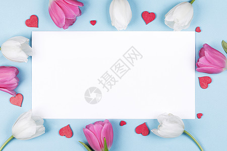 粉红色白色郁金香花心白色卡片背景边框与隔离白人节郁金香的心卡片图片