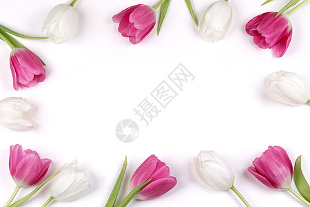 花边框背景 花边框摄影图片 花边框壁纸 摄图网 花边框背景 花边框摄影图片 花边框壁纸 摄图网