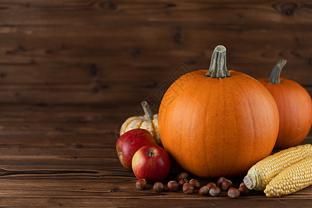 秋收生活与南瓜,苹果,榛子,玉米木制的背景木桌上的秋收图片