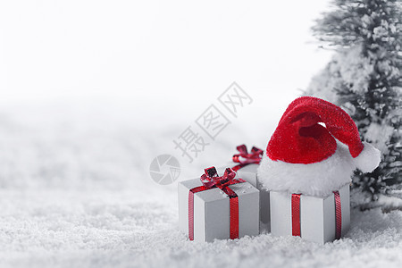 装饰圣诞礼物圣诞帽冷杉树下的雪,背景与圣诞树下雪里的礼品盒图片