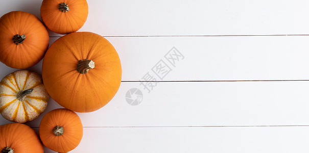 许多橙色南瓜白色木制背景与,秋收,万圣节或感恩节的木制背景上的南瓜图片