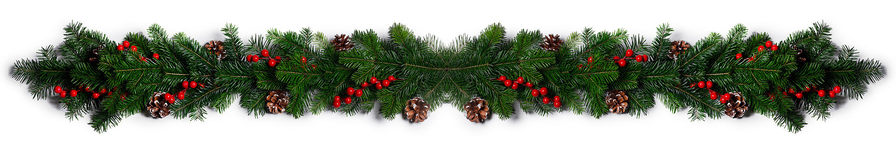 圣诞边框的树枝,红色浆果松果白色背景与隔离圣诞树树枝的圣诞框架图片