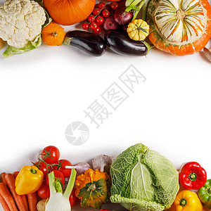 收获了许多蔬菜,俯视图平躺背景,白色的文本蔬菜收获背景图片