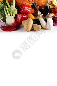 收获许多蔬菜隔离白色背景边框与文本白色背景下收获图片