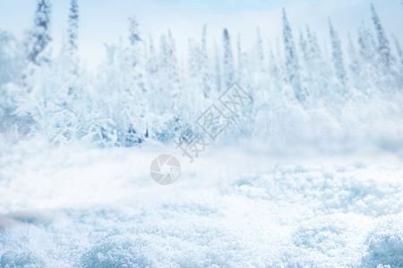 雪冬冷杉林背景,专注雪堆雪冬森林背景背景图片