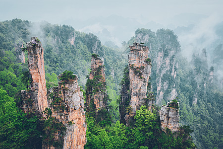 中国著名的旅游景点张家界石柱崖山雾云中,湖南武陵源,中国张家界山脉,中国图片