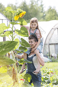 微笑的母亲扛着女儿农场的向日葵植物肩上图片