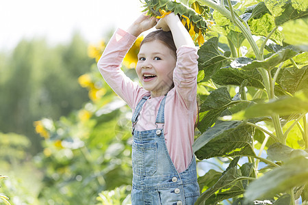 农场玩向日葵的快乐女孩的肖像图片