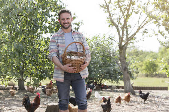 男人鸡蛋篮子里,鸡农场的背景图片
