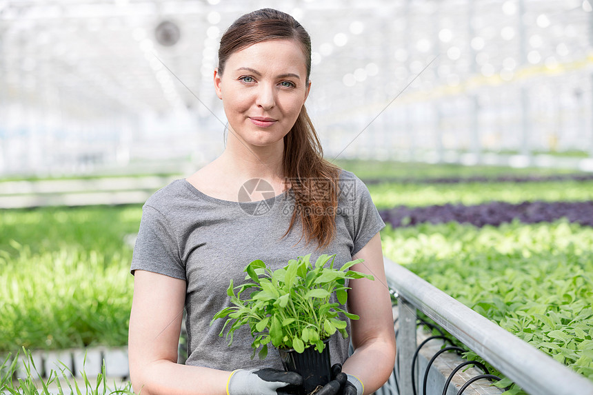 植物苗圃丽的女植物学家抱苗的肖像高清图片下载 正版图片 摄图网