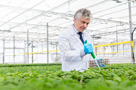 植物苗圃中用吸管的男生物化学家图片