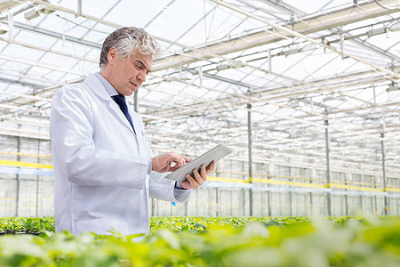 成熟的雄生物化学家植物苗圃中用数字平板图片