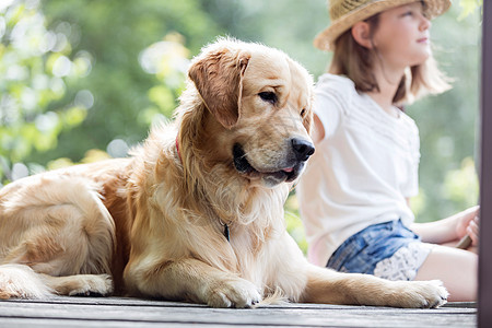 女孩金毛猎犬坐码头上图片