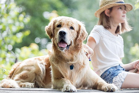 女孩金毛猎犬坐码头上图片