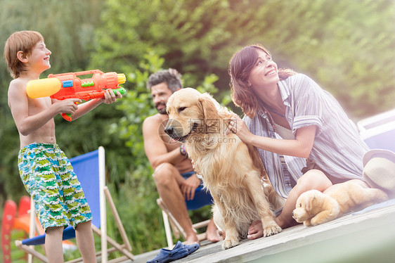 码头用金色猎犬拍摄的家庭倾斜镜头图片