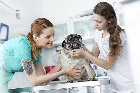 年轻的兽医女孩医院的桌子上抚摸着小狗图片