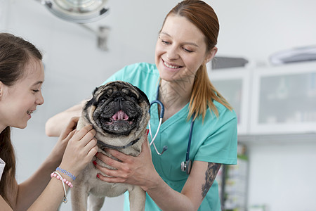 微笑的年轻兽医医生女孩医院抚摸着小狗图片