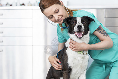 年轻的兽医医生诊所检查狗背景图片