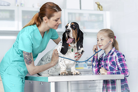 兽医抱着狗,而女孩诊所听听诊器图片