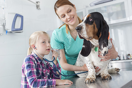 兽医医生把狗放桌子上,而女孩诊所听听诊器图片