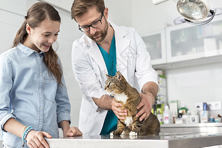 医生女孩看着兽医诊所桌子上的猫图片