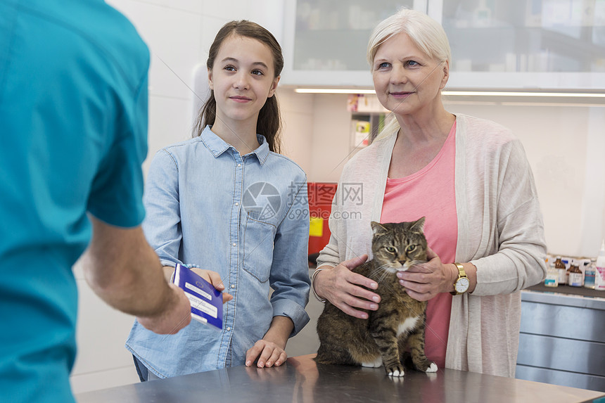 医生给女孩文件,而站高级妇女与猫兽医诊所图片