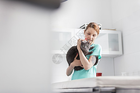 医生带着俄罗斯蓝猫兽医诊所图片