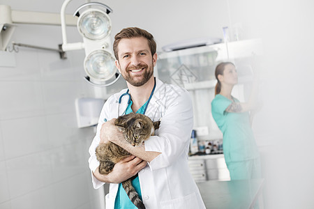 兽医诊所面同事时,微笑的医生带着猫的肖像图片