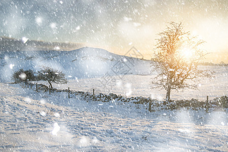 大雪纷飞的日出覆盖了冬天的田野,暴风雪中的风景风景图片