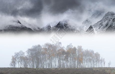 雾山令人惊叹的史诗景观形象秋天与雾树前面的悬垂山脊线背景背景