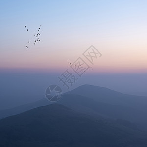 美丽的冬季日出景观形象的大岭英国的高峰地区,鸟类山峰周围飞翔图片