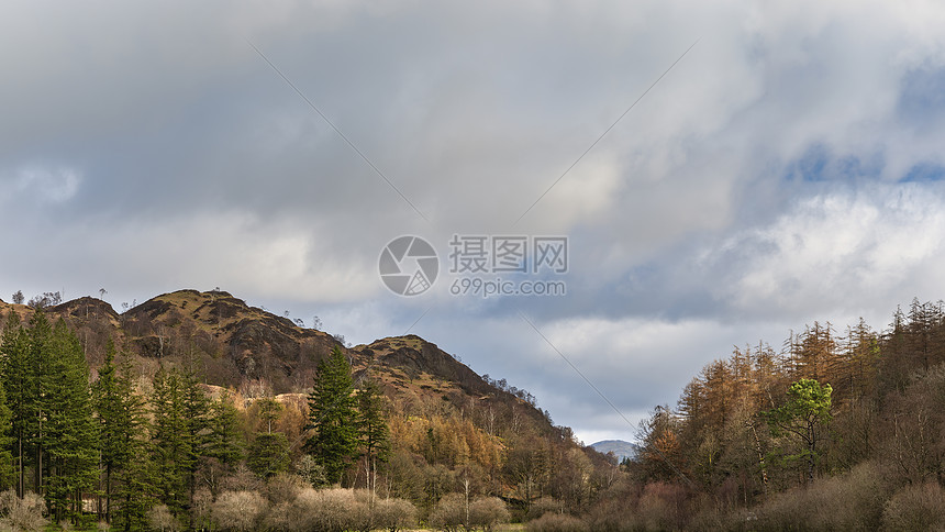 湖区红豆杉美丽的日出景观形象图片