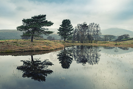 塔恩湖地区深秋湖边倒影景象图片