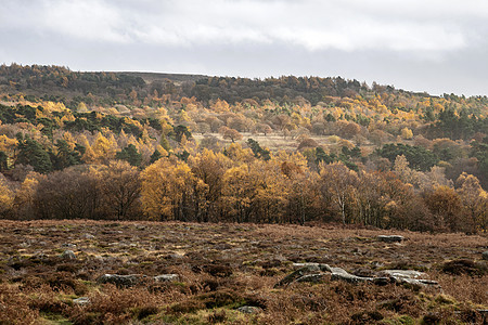 秋季Enlnd峰区的OwlerTor景观景观图片