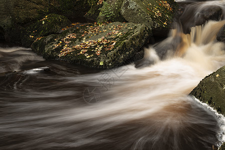 美丽的近景溪流流过岩石秋季秋季森林景观英国的高峰地区图片