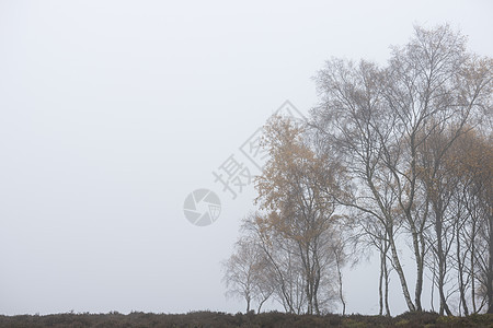 英格兰雾峰区美丽而充满活力的秋季景观图片