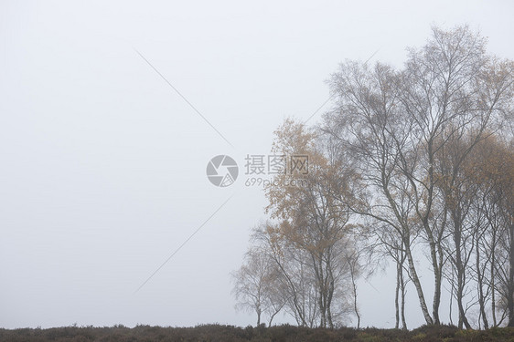 英格兰雾峰区美丽而充满活力的秋季景观图片