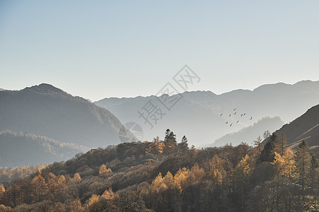 令人惊叹的秋季景观图像,猫钟湖区,充满活力的秋季颜色被下午晚些时候的太阳击中图片