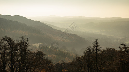 古默斯的风景,如何湖区美丽的秋色森林与朦胧的微光傍晚图片