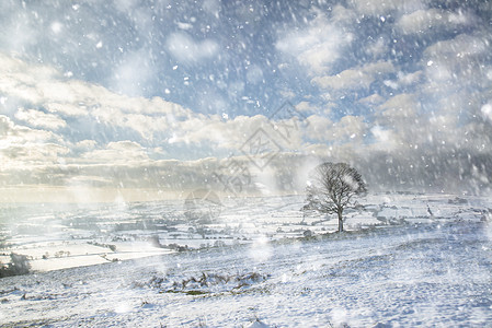 美丽的冬季景观雪覆盖了农村的大雪风暴图片