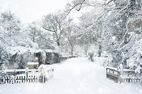 雪冬景观乡村场景与英国乡村大雪风暴中图片