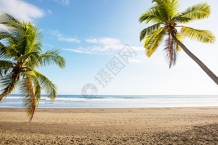 热带海滩上的宁静图片