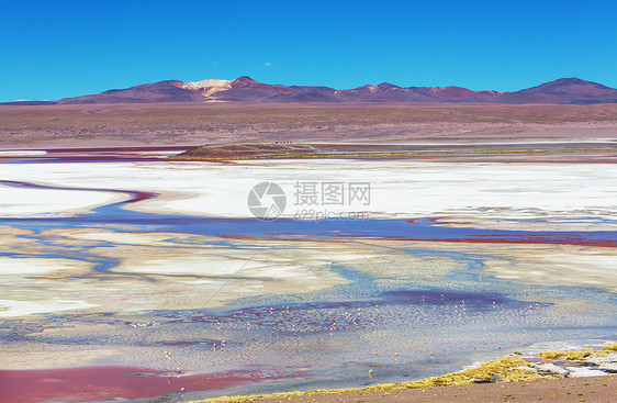 玻利维亚的高山雪山图片