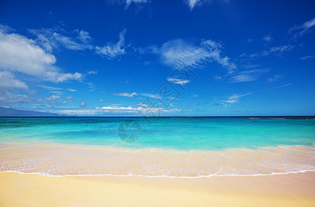 神奇的夏威夷海滩图片